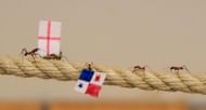 Leaf cutter ants predict England outcome